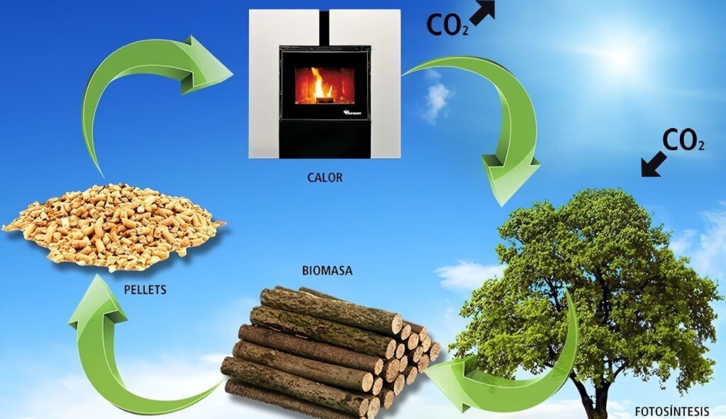 Bioenergia-biomasa